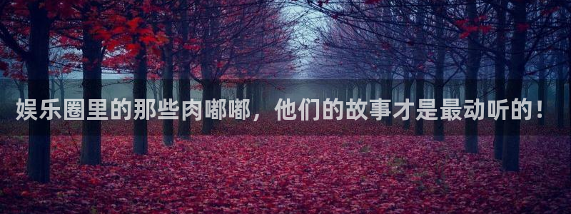 安信12登录地址：娱乐圈里的那些肉嘟嘟，他们的故事才是最动听的！