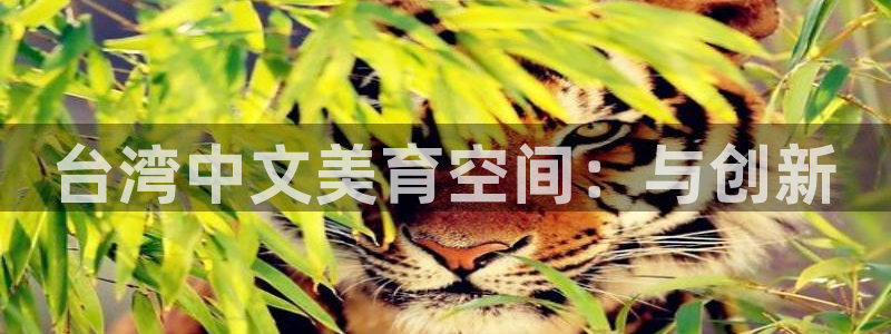 安信12登录入口最新版本更新内容：台湾中文美育空间：与创新