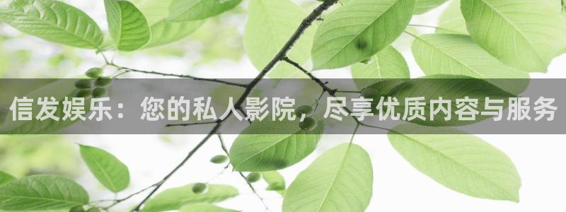 安信12登录入口官网：信发娱乐：您的私人影院，尽享优质内容与服务